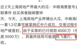 网红大瓜小说免费阅读,免费阅读背后的秘密与诱惑