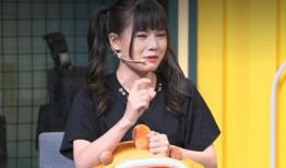 娱乐圈是我的.网红大鹅,网红大鹅的璀璨星途