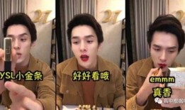 娱乐圈是我的.网红大鹅,网红大鹅的璀璨星途