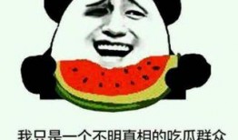 吃瓜群众,吃瓜群众眼中的明星生活